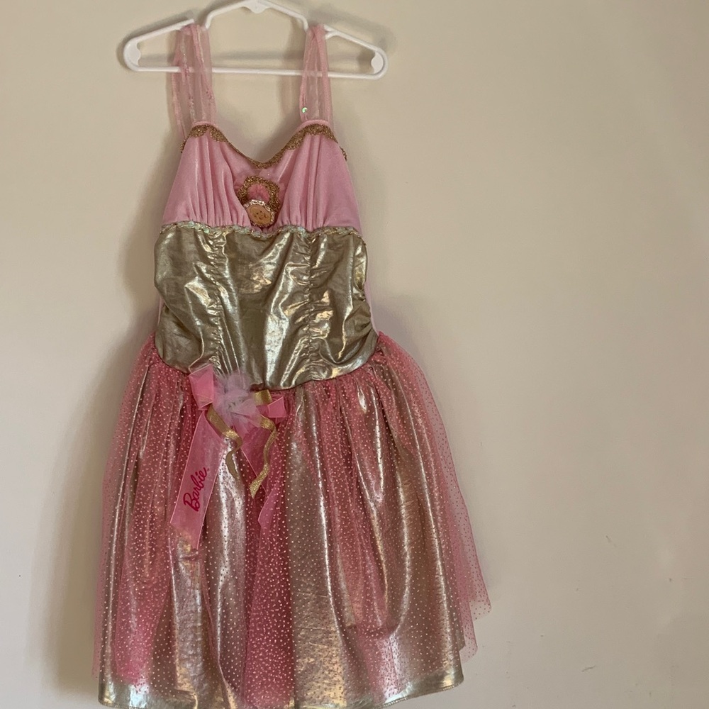 Barbie Pink and Gold Sparkle Tutu Costume